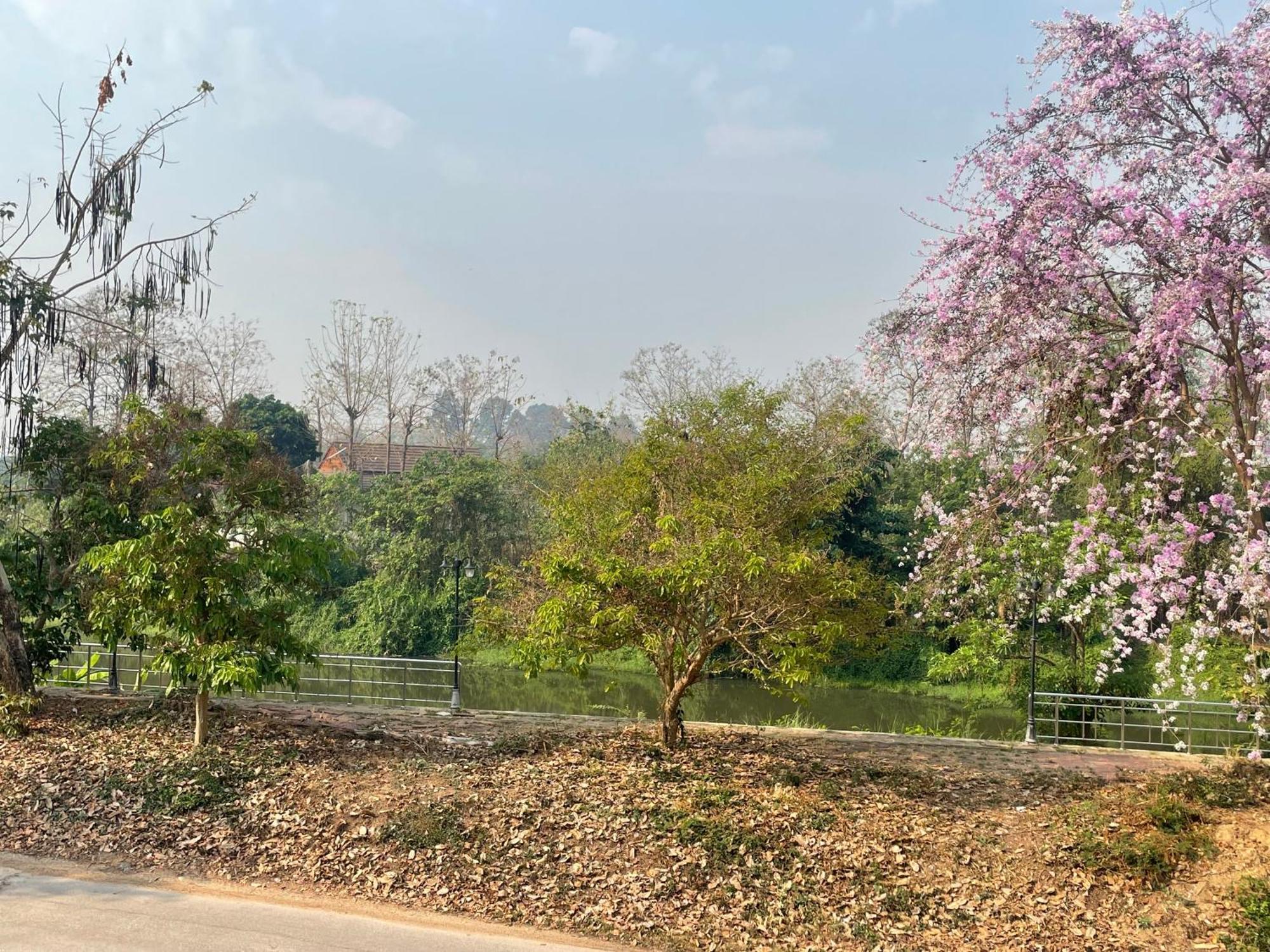 Smaids Lampang